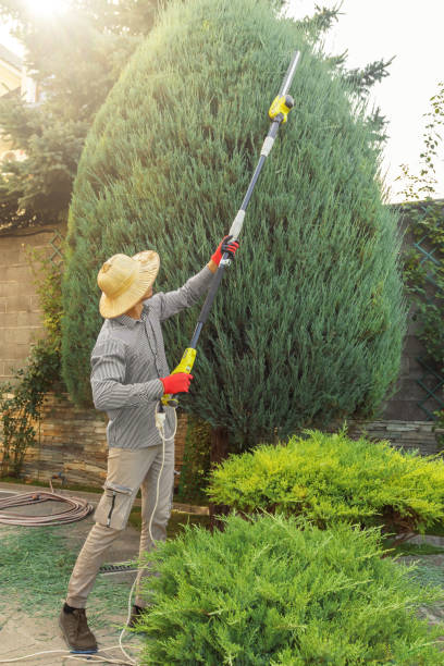 Best Lawn Irrigation Installation and Maintenance  in Von Ormy, TX